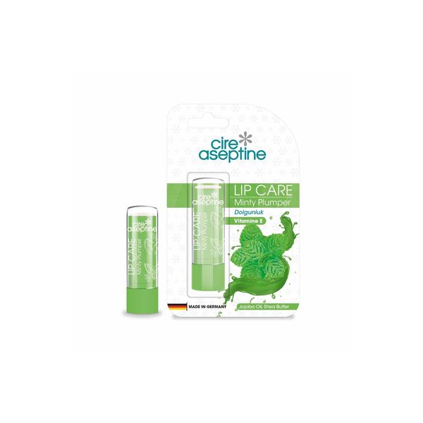 Lip Care Minty Plumper Dudak Nemlendirici 4,5