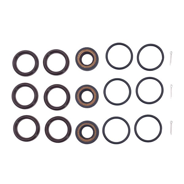 Seal Kit for Cat Pumps Series 4SF, P/N 34054