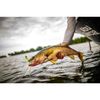 Berkley Gulp! Minnow Soft Bait , Smelt, 2-1/2-Inch