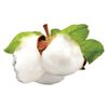Heirloom Essentials Furniture Polish (Clean Cotton)