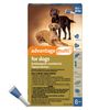 Advantage Multi Topical Solution for Dogs 1 Dose, 55.1-88 lbs (Blue)