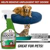 Garbage Commander Odor Commander, Odor Control Spray Bottle, 22 Ounces, Lemongrass Scent