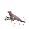 Playmobil Wiltopia - Sea Lion