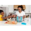 Igloo Corporation 25197 Maxcold, Small Ice Block by Igloo