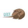 CafePress Horseshoe Crab OBX Rectangle Car Bumper Magnet