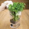 Transparent Herb Storage Container Keeps Fresh Parsley Cilantro Rosemary 1.3 ...