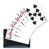 Magic Makers Wild Card Trick Kit - Professional Card Magic Tricks Explained Including Special Magic Cards for Performing