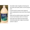 Zaps It! Ultra Concentrated Pet Odor & Stain Neutralizer - Gallon Size