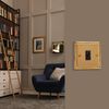VARILIGHT | Georgian Brass | Classic | 16A Flex Outlet Plate | XGFOB