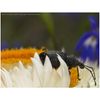 Dual Macro LED Ring Light/Flash Compatible with Sony Cyber-Shot DSC-RX10 III