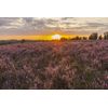 HEIMAT NATUR