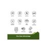 Intestinal Cleaner Support Black Walnut Extract Supports Healthy Digestive Tract