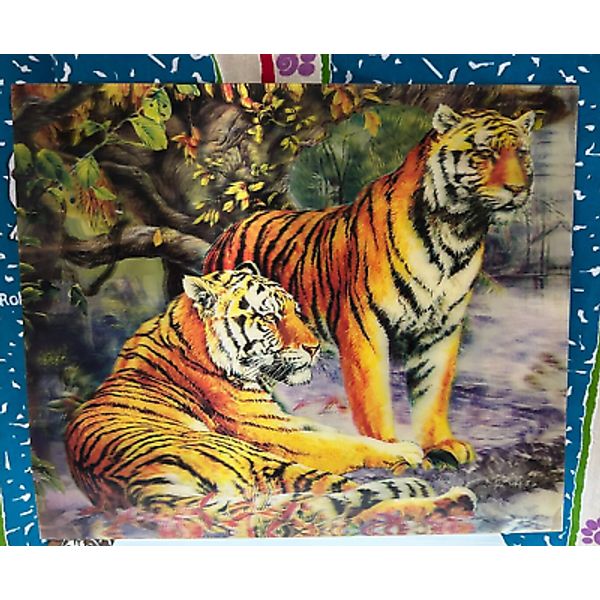 Tigers Big Cat Wildlife Animal 3D LENTICULAR Poster Frameless Wall Art 12 x 10