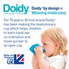 Bickiepegs Doidy Cup (Blue)