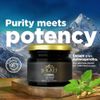 pure himalayan shilajit resin dietary supplement