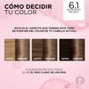 LOREAL Colour Accessories, 0.155 kg