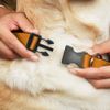 Buckle-Down PC-W11502-WM Orange Plastic Clip Collar, Wide Medium/16-23"