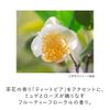 Kanebo Mellow Off Vale