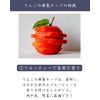 KIWAMIYA Tei Smoked Chip (Apple)