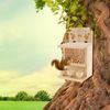 Wooden Squirrel Feeder House - Large, Sturdy, Decorative Squirrel Feeder for Corn and