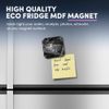 1 x Square MDF Fridge Magnet - Smiling Frog 36121