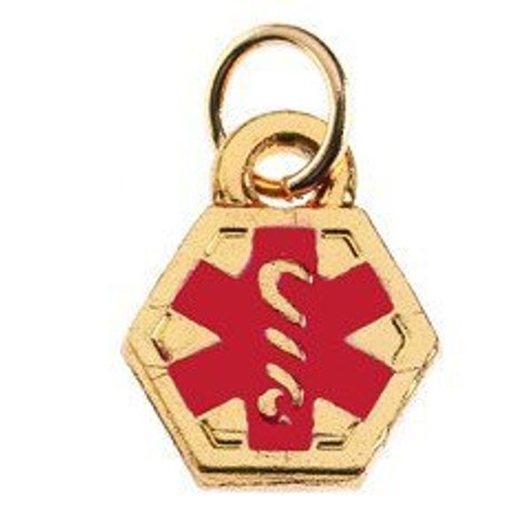 Gold Medical ID Mini Charm