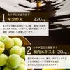 Yuuki Pharmaceutical Cases-White-Rubber Black Vinegar Grain 60 Day Assault 120 Ball