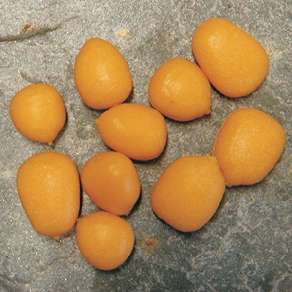 Fake Maize - Sinking - Pkt. 8 - Enterprise Tackle