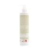 Raywell Cactus Speedy Hair Leave-In Conditioner - Hair Treatment for Quick Styling, Intensely Nourishing for All Hair Types, 250 ml, Vegan Hair Care Product, Heat Protection, Moisture