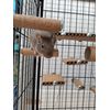 Degu step - 5 Pack
