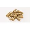 Sarsaparilla (Smilax) Root | 60 Vegan Capsules