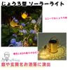 Nicheez Solar Light Garden Light Watering Can Decorative