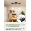 C-J-W Duct Rail Plug Rail Ceiling Plug Easy Installation No Construction Required Ceiling Ceiling Pendant Light Conversion Socket Plug for Wiring Duct Rail Slide Outlet Lighting Rail Plug Conversion