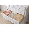 Earth Pharmaceutical Pilepara Earth Softener Scented Drawer 1 Year 48 Pack