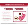3 in 1 Multivitamin Supplement for Iron Deficiency (Anaemia), Improve Kidney Function & Support Immune System