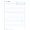 Carbonless Copy Meeting Minutes (A4, 1 Pack)