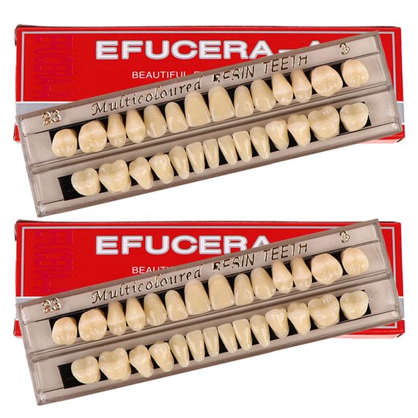 56 false teeth in dental complete acrylic resin and 2 sets of synthetic polymer teeth in 23 shades of A3 for replacement, DIY, or Halloween