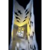 Quasimoon Star Moon Paper Luminaries / Luminary Lantern Bags Path Lighting (1...