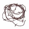 Rusty Barbwire Cord - Party Decor - 1 Piece