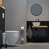 Tiger Sem Spare toilet roll holder Black/Oak