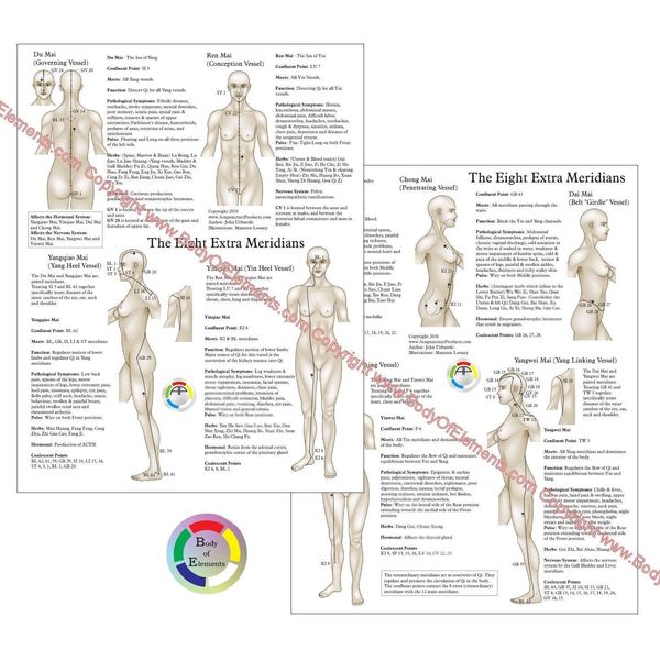 The Eight Extraordinary Meridians Acupuncture Points Chart 8.5" X 11"