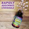 Bluebonnet Rainforest Animalz Multiple Assorted Fruit 90 Chewable Tabs