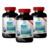 Acetyl L Carnitine Supplement - Brain & Memory Booster 775mg - Brain Herb 3B