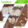 100% Home Compostable 50 Pack Disposable Clamshell Take Out Food Containers, 8X8