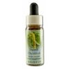 Flower Essence Services Healing Herb Supplement Dropper, Sweet Chestnut, 0.25 Fluid Ounce