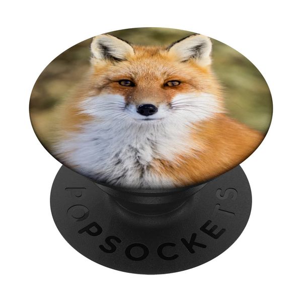 Fox PopSockets Swappable PopGrip