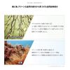 [SAM'U][正規品]サミュPHセンシティブアンプル 30ml PH Sensitive Ampoule 保湿 保湿クリーム 保湿ケア 敏感肌 敏感肌ケア 乾燥肌 乾燥肌ケア スキンケア 肌荒れケア 毛穴ケア 弱酸性 低刺激 pHバランス アンプル 韓国コスメ 韓国スキンケア [並行輸入品]