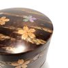 Sokeshi Tea Caddy (Medium Length) Shell with Flower, 34284