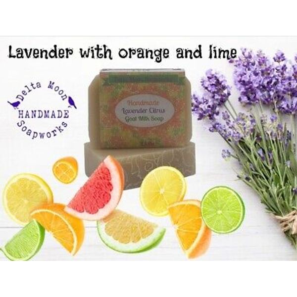 Handmade Lavender Citrus Goat Milk Soap,  Essential oils, + samples, ships fast