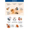 INFECTION DEL OIDO EN MASCOTAS  - OTITIS -enrojecimient